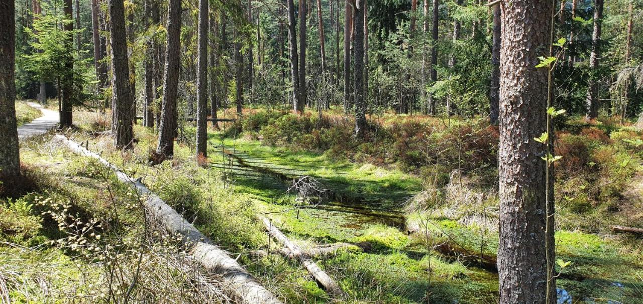 Eco Domek Z Duzym Ogrodem I Widokiem Murzasichle Exteriér fotografie