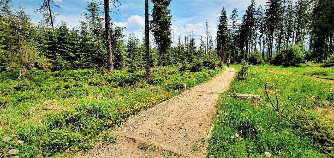 Eco Domek Z Duzym Ogrodem I Widokiem Murzasichle Exteriér fotografie