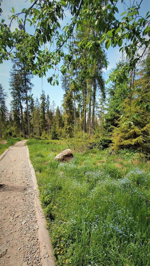 Eco Domek Z Duzym Ogrodem I Widokiem Murzasichle Exteriér fotografie